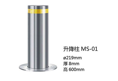  MS-01